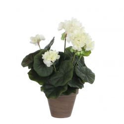 Geranium creme in pot Stan grijs d11,5cm - h34xd20cm