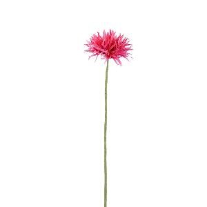 PTMD Gerbera Flower Bright Pink gerbera
