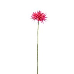 PTMD Gerbera Flower Bright Pink gerbera