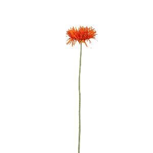 PTMD Gerbera Flower Orange gerbera