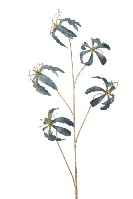 Gloriosasteel l95cm blauw
