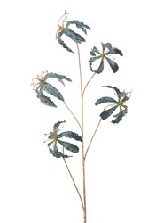 Gloriosasteel l95cm blauw