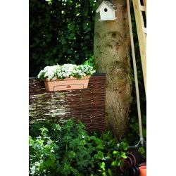 elho green basics balkonbak allin1 50cm mild terra - afbeelding 6