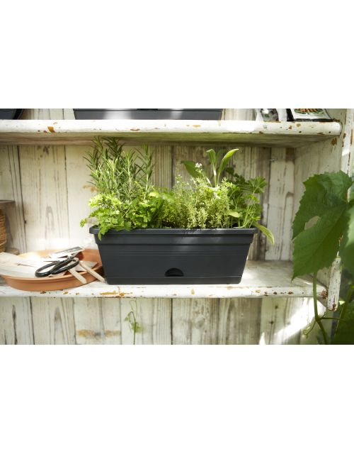 elho green basics balkonbak mini 30cm living black - afbeelding 1
