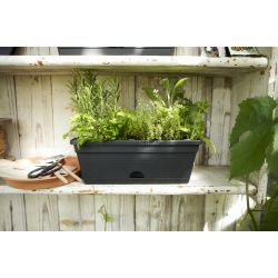elho green basics balkonbak mini 30cm living black - afbeelding 2