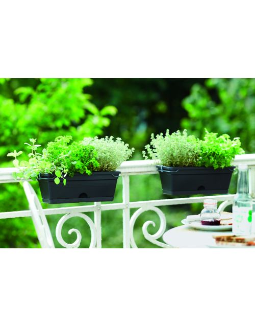elho green basics balkonbak mini allin1 30cm living black - afbeelding 1