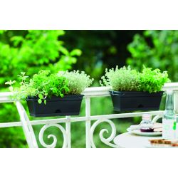 elho green basics balkonbak mini allin1 30cm living black - afbeelding 2