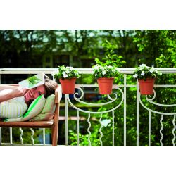 elho green basics easy hanger small mild terra - afbeelding 2