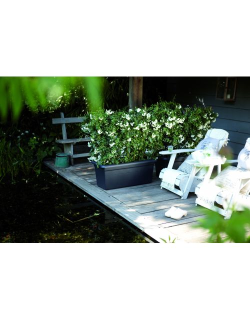 elho green basics garden xxl 60cm living black - afbeelding 1