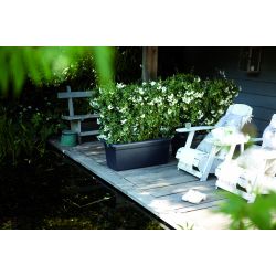 elho green basics garden xxl 60cm living black - afbeelding 1