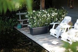 elho green basics garden xxl 80cm living black - afbeelding 2