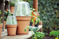 elho green basics kweek huis rond 17cm transparent - afbeelding 2