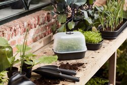 elho green basics kweekhuis s_restyle transparent - afbeelding 2