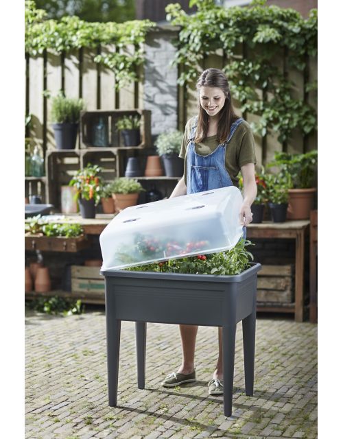 elho green basics kweekhuis super xxl_restyle transparent