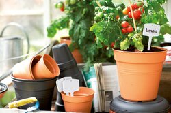 elho green basics kweekpot 40cm mild terra - afbeelding 3