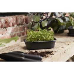 elho green basics kweektray s living black - afbeelding 2