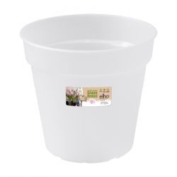 elho green basics orchidee 15cm transparent - afbeelding 1