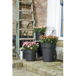 elho green basics top planter 30cm living black - afbeelding 6