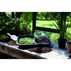 elho green basics tuintray living black - afbeelding 3