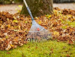 Grond & Steelgereedschappen