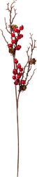 H&S BESSEN EN DENNEAPPEL TAK 67CM - afbeelding 3
