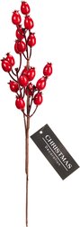 H&S BESSEN TAK 34CM ROOD 2ASS - afbeelding 3