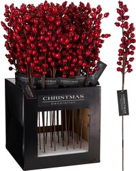 H&S BESSEN TAK 60CM ROOD 2ASS - afbeelding 1