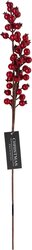 H&S BESSEN TAK 60CM ROOD 2ASS - afbeelding 3