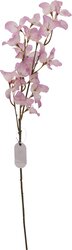 H&S BOUGAINVILLE 77CM 5ASS KL. - afbeelding 4