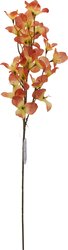 H&S BOUGAINVILLE 77CM 5ASS KL. - afbeelding 5
