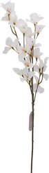 H&S BOUGAINVILLE 77CM 5ASS KL. - afbeelding 2