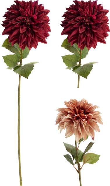 H&S DAHLIA 73X16CM 2ASS KLEUR - afbeelding 1