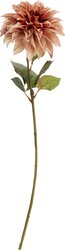 H&S DAHLIA 73X16CM 2ASS KLEUR - afbeelding 2