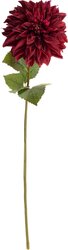 H&S DAHLIA 73X16CM 2ASS KLEUR - afbeelding 3