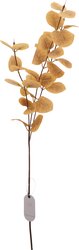 H&S EUCALYPTUS 85CM 3ASS KL - afbeelding 2