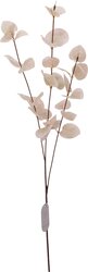 H&S EUCALYPTUS 85CM 3ASS KL - afbeelding 4