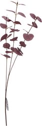 H&S EUCALYPTUS 85CM 3ASS KL - afbeelding 3