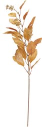 H&S EUCALYPTUS MET FRUIT 3ASS - afbeelding 3