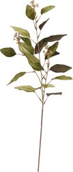 H&S EUCALYPTUS MET FRUIT 3ASS - afbeelding 4