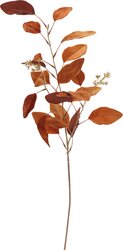 H&S EUCALYPTUS MET FRUIT 3ASS - afbeelding 2