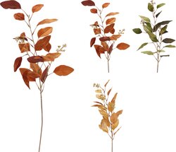 H&S EUCALYPTUS MET FRUIT 3ASS - afbeelding 1