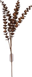 H&S EUCALYPTUS TAK 85CM GLITTER - afbeelding 3