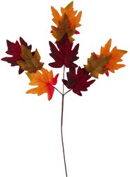 H&S HERFST TAK 58CM