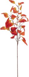 H&S HERFST TAK MET BLADEREN 3ASS - afbeelding 2