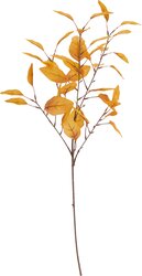 H&S HERFST TAK MET BLADEREN 3ASS - afbeelding 4