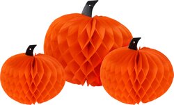 H&S HONINGRAAT POMPOEN DECOR - afbeelding 3