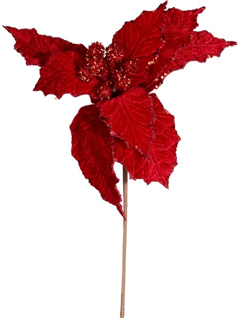 H&S KERSTSTER BLOEM D34CM ROOD