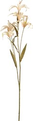 H&S LELIE 5 KNOPPEN 106CM 4ASS KL. - afbeelding 4