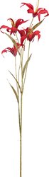 H&S LELIE 5 KNOPPEN 106CM 4ASS KL. - afbeelding 3