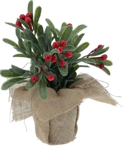 H&S Plant Met Bessen In Jute Pot